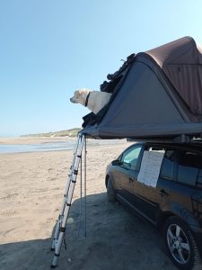 Autostrand Rødby - Elena